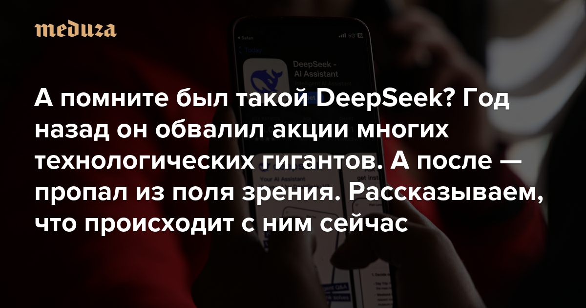 DeepSeek's Rise and Fall: A Year After the Market Shock