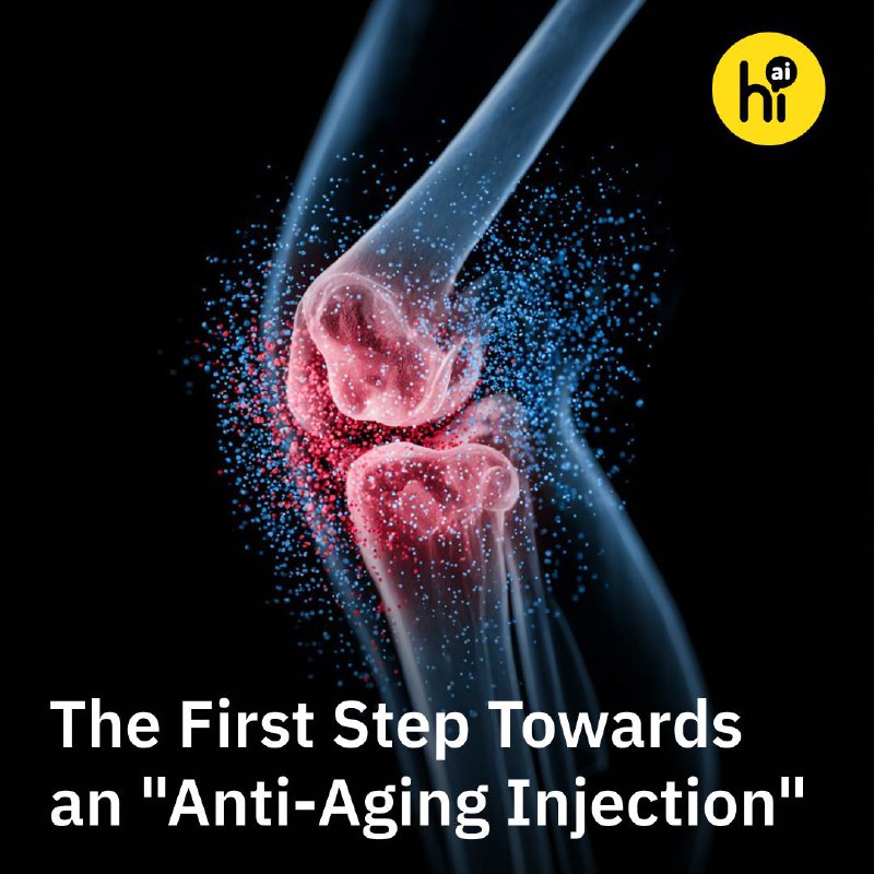 Researchers Discover Method to Regenerate Knee Cartilage for Osteoarthritis Relief