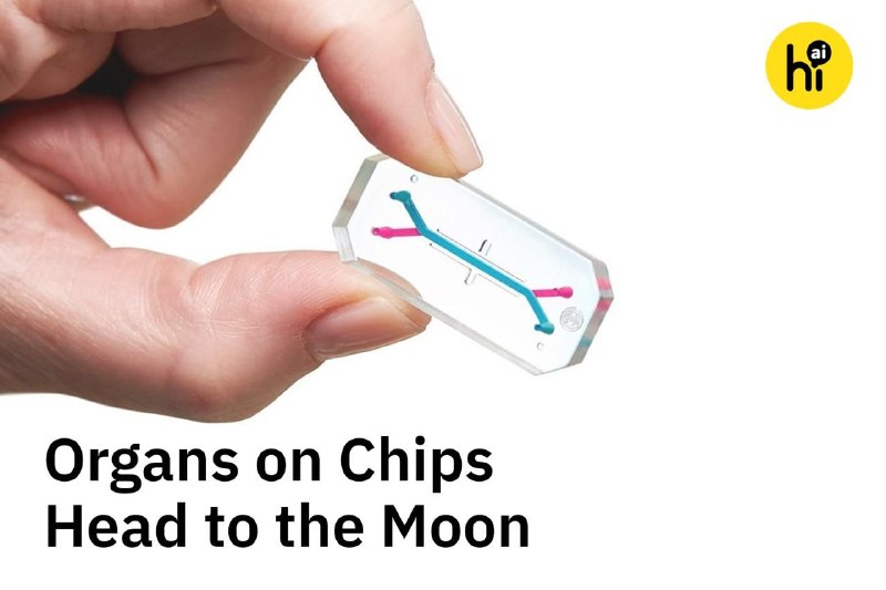 NASA Sends Miniature Bone Marrow Models with Artemis II Crew on Lunar Mission