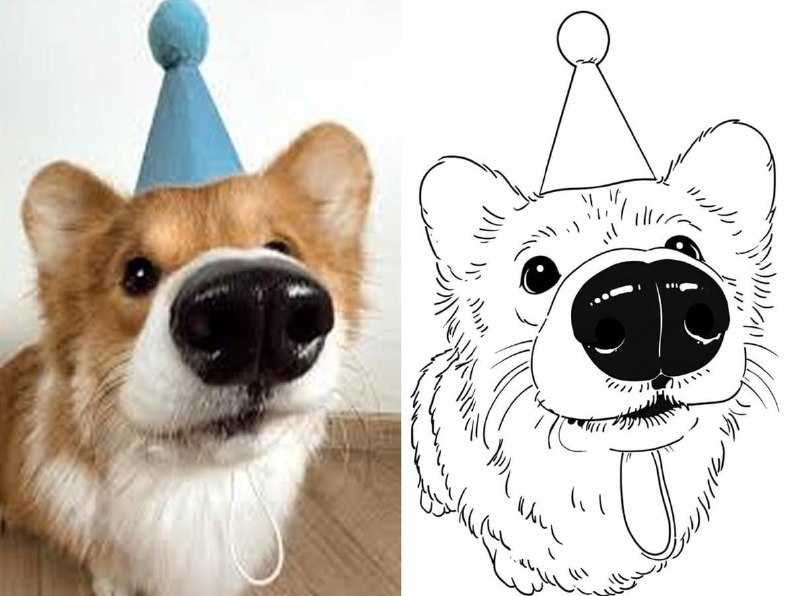 Create Your Own Coloring Pages from Any Photo