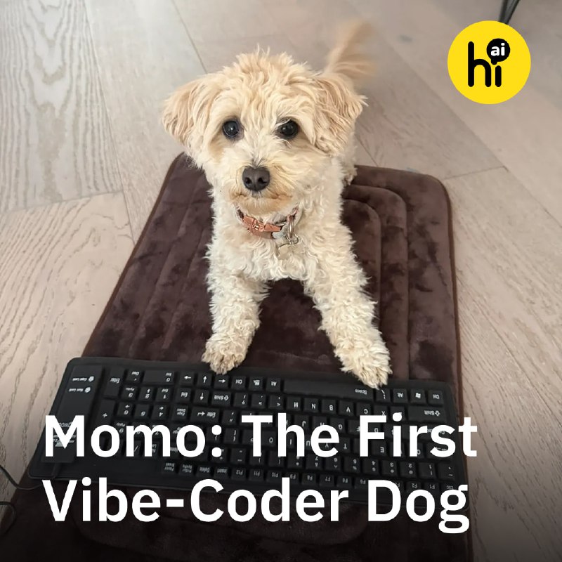A Dog Learns to Code: Meet Momo the Vibe-Coding Cavapoo
